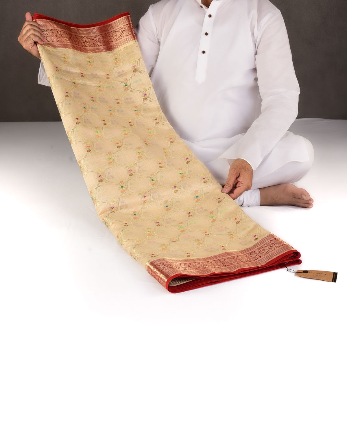 Cream Gold Zari & Meenekari Jaal Cutwork Brocade Woven Spun Silk Banarasi Saree with Red Border Pallu-HolyWeaves