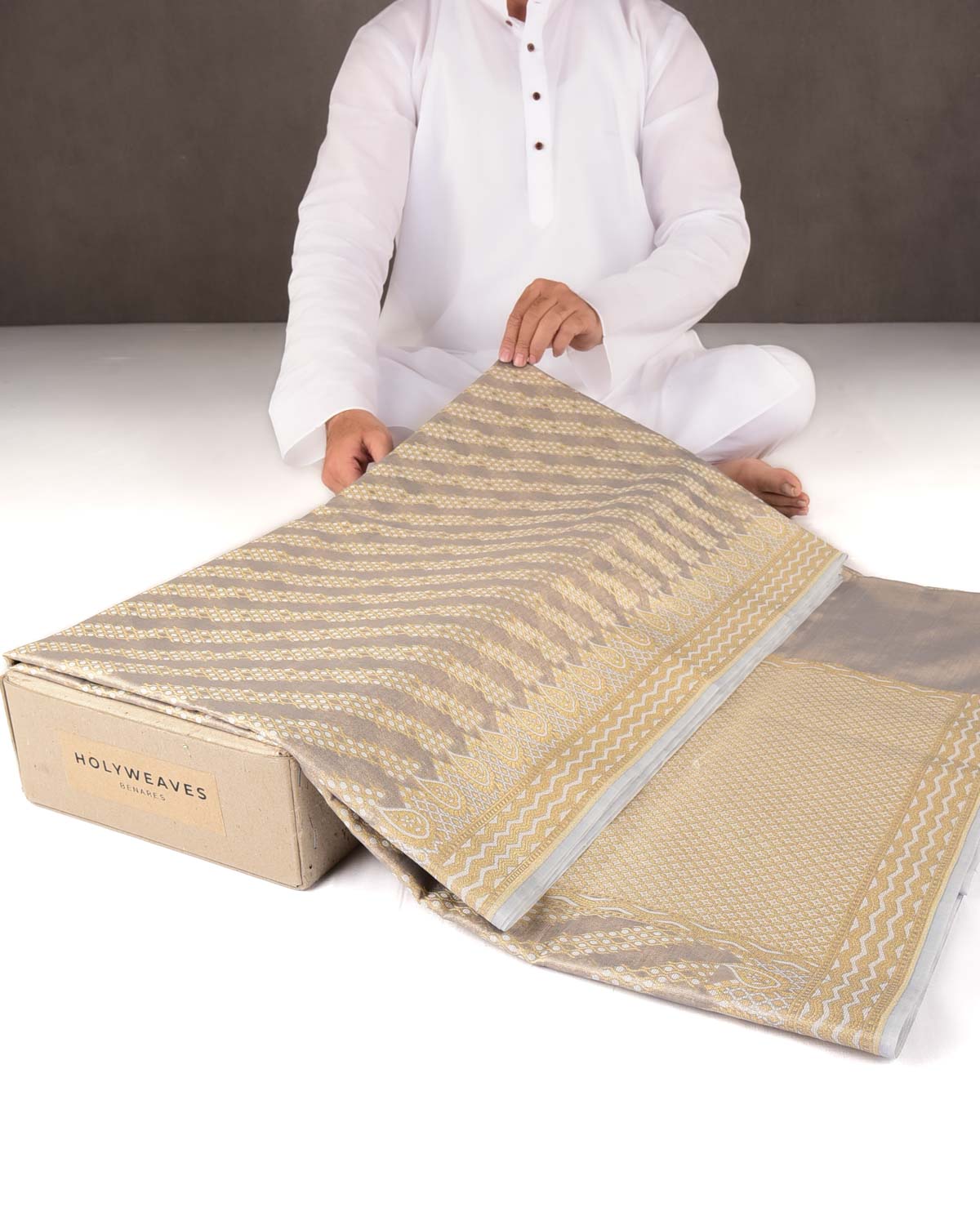 Metallic Gray Zari & Resham Diagonal Ornament Stripes Cutwork Brocade Woven Art Cotton Tissue Banarasi Saree-HolyWeaves