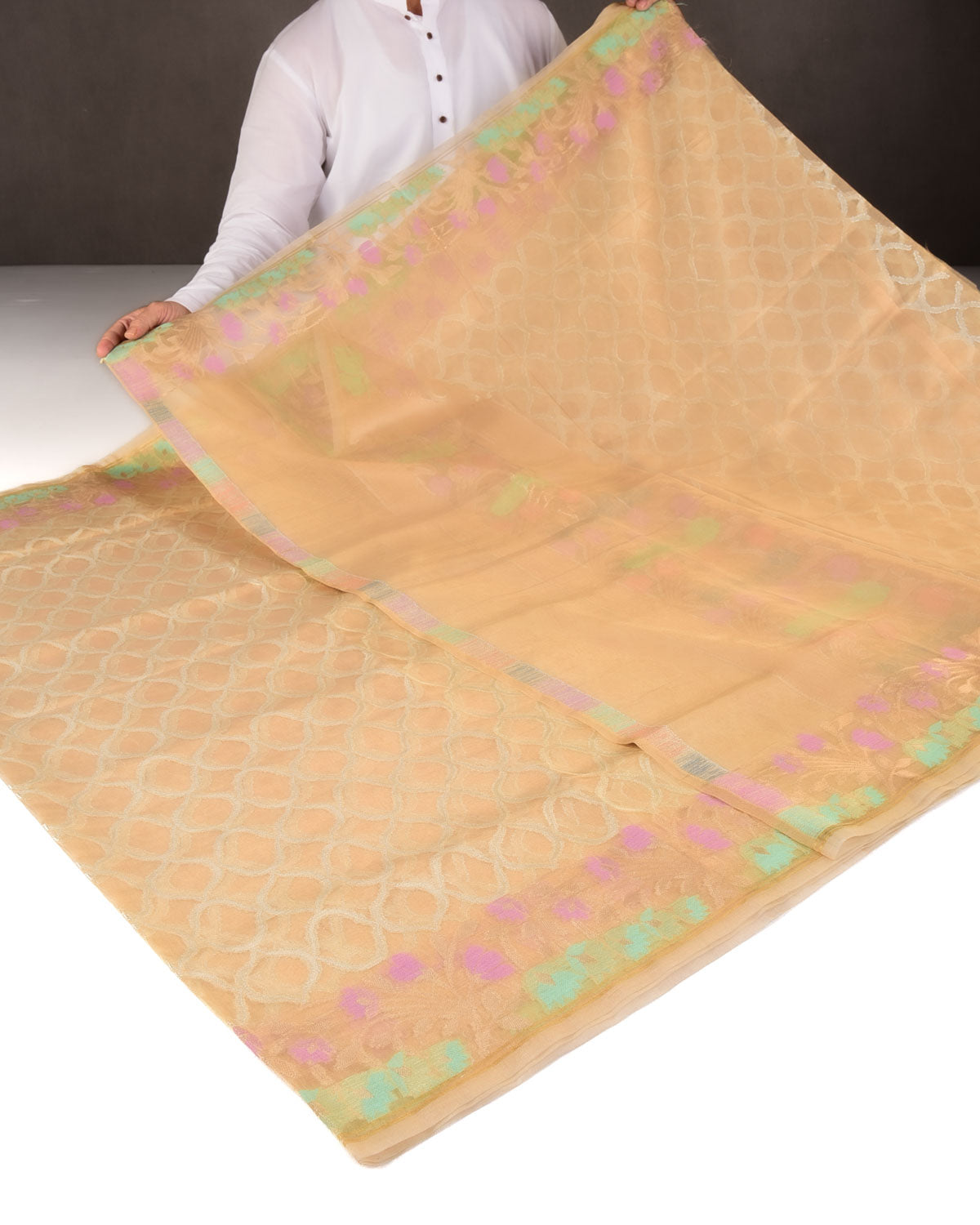 Metallic Gold Silver Zari Grids Cutwork Brocade Woven Tissue Banarasi Saree with Meenekari Border Pallu-HolyWeaves