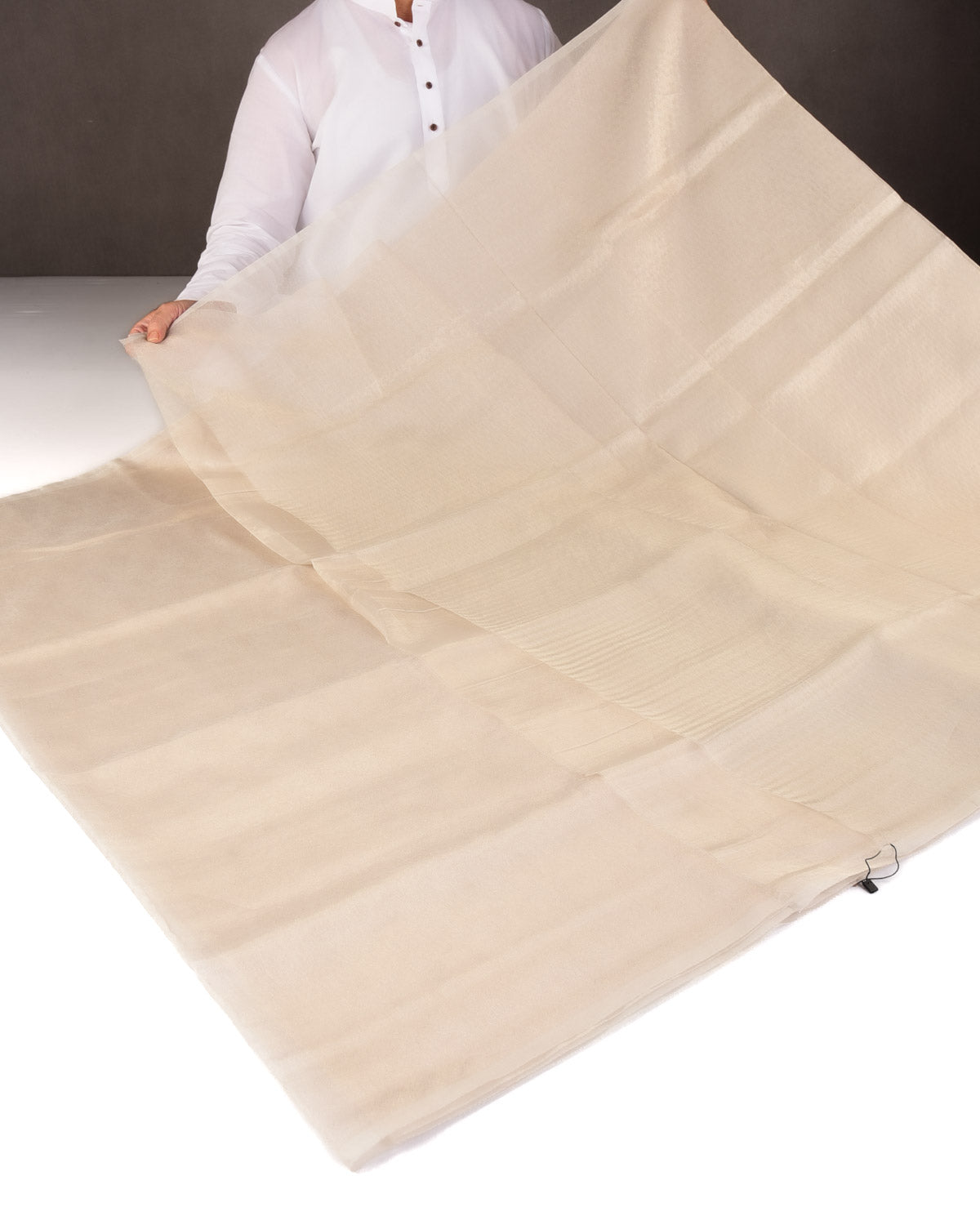 Metallic Silver Self Tanchoi Woven Kora Tissue Banarasi Saree-HolyWeaves