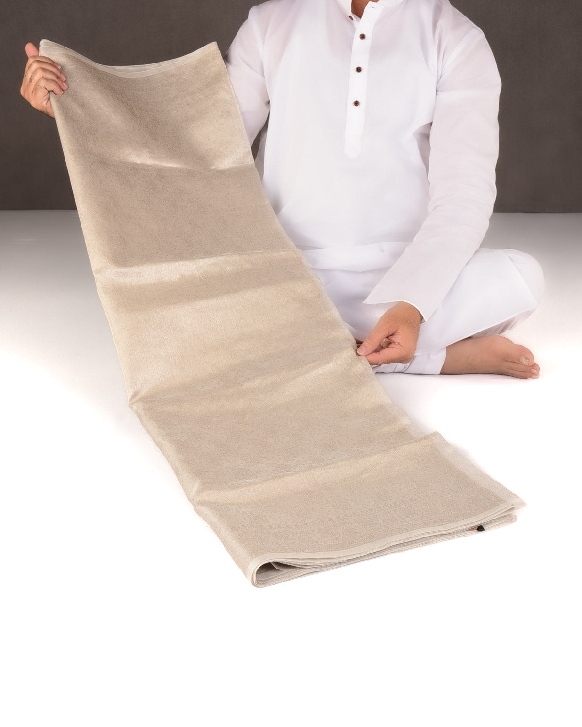 Metallic Silver Self Tanchoi Woven Kora Tissue Banarasi Saree-HolyWeaves