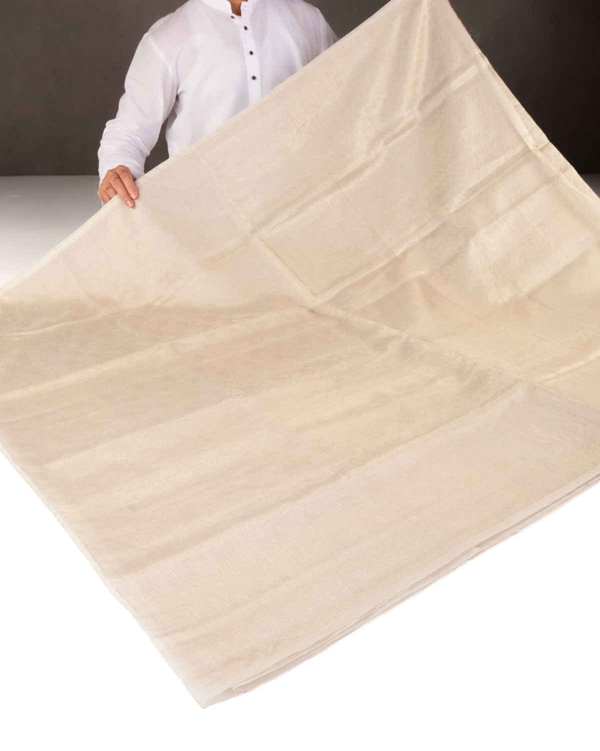 Metallic Silver Self Tanchoi Woven Kora Tissue Banarasi Saree-HolyWeaves