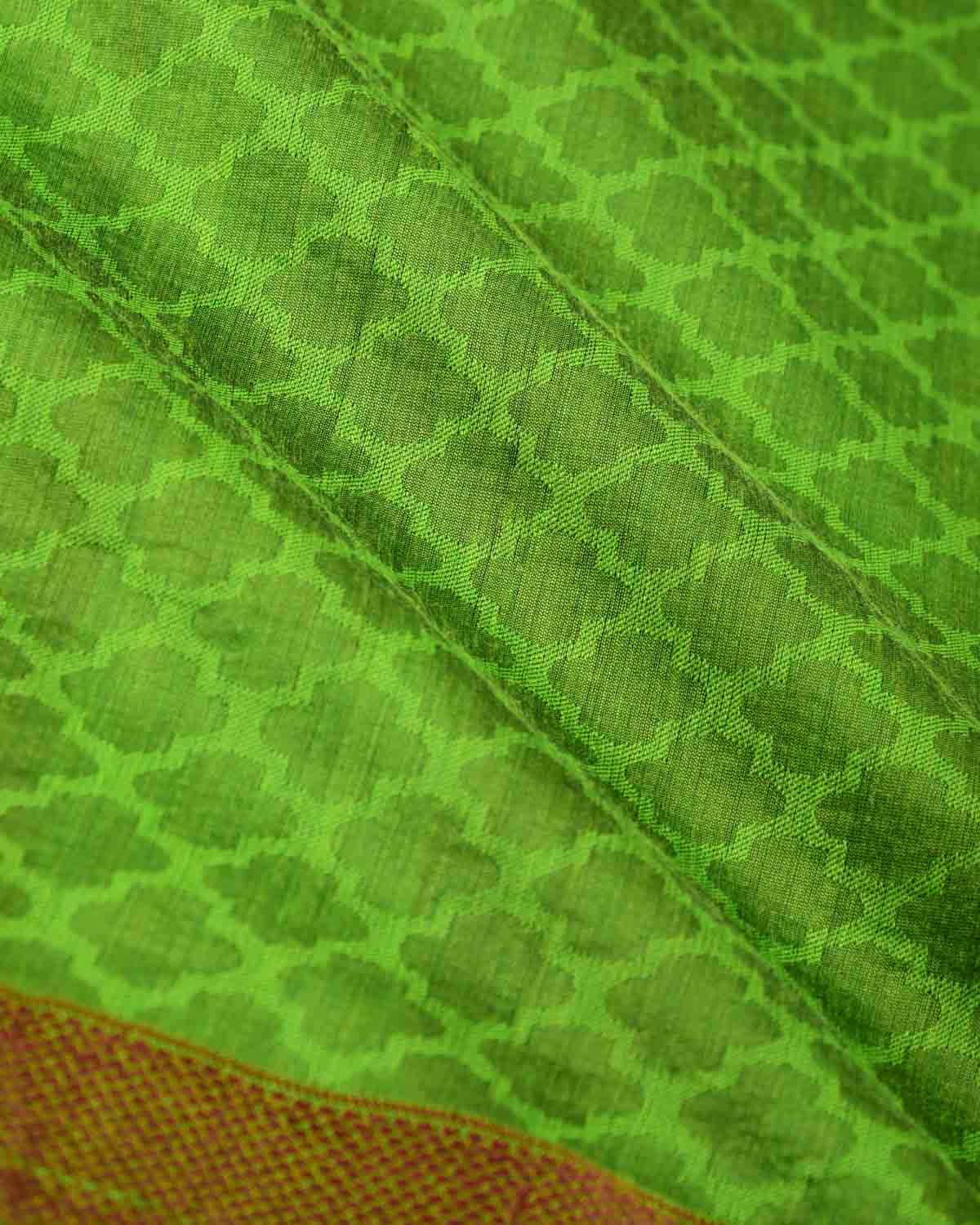 Green WATREMARK Moroccon Grids Tanchoi Handwoven Silk Wool Banarasi Saree with Contrast Red Border Pallu-HolyWeaves