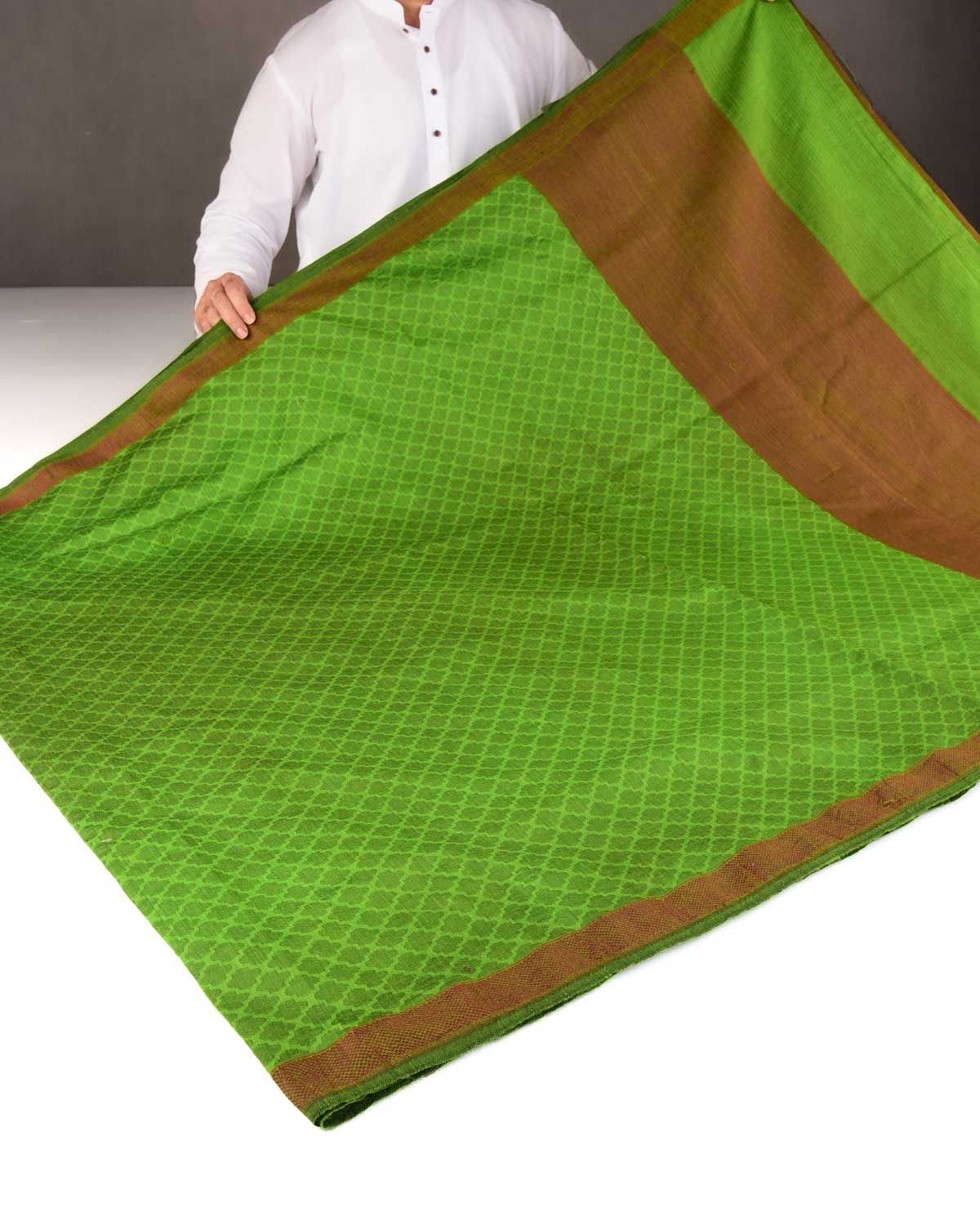 Green WATREMARK Moroccon Grids Tanchoi Handwoven Silk Wool Banarasi Saree with Contrast Red Border Pallu-HolyWeaves