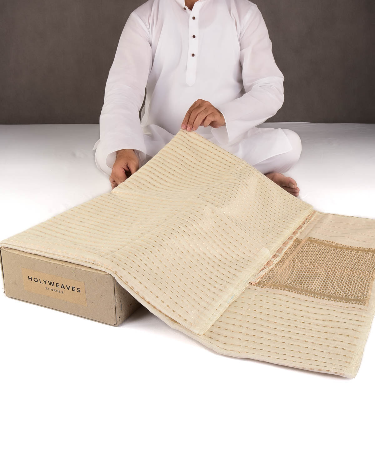 Ivory White Gold Zari Leaf Stripes Cutwork Brocade Woven Cotton Silk Banarasi Saree-HolyWeaves