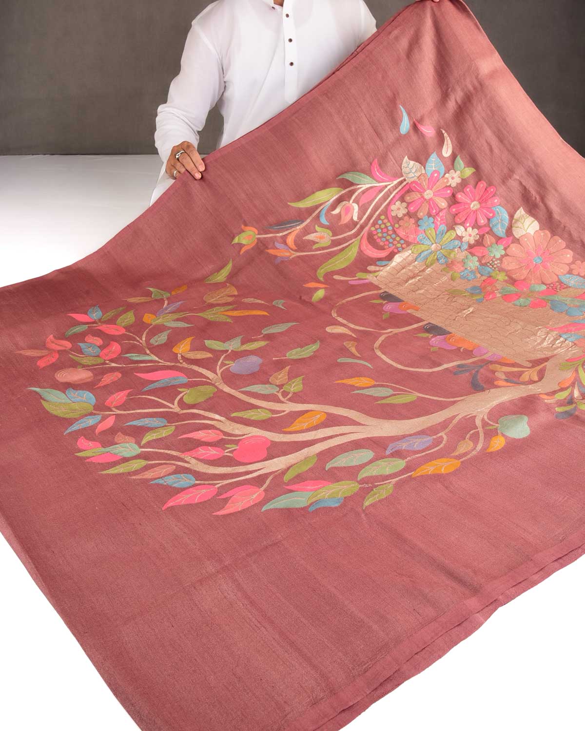 Brown Zari & Colored Leaves Palla Cutwork Brocade Handwoven Tasar Silk Banarasi Saree-HolyWeaves