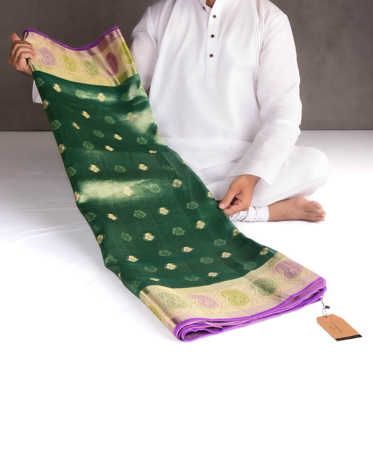Metallic Green Hand Brush Dye Paisley Border Cutwork Brocade Woven Kora Tissue Banarasi Saree