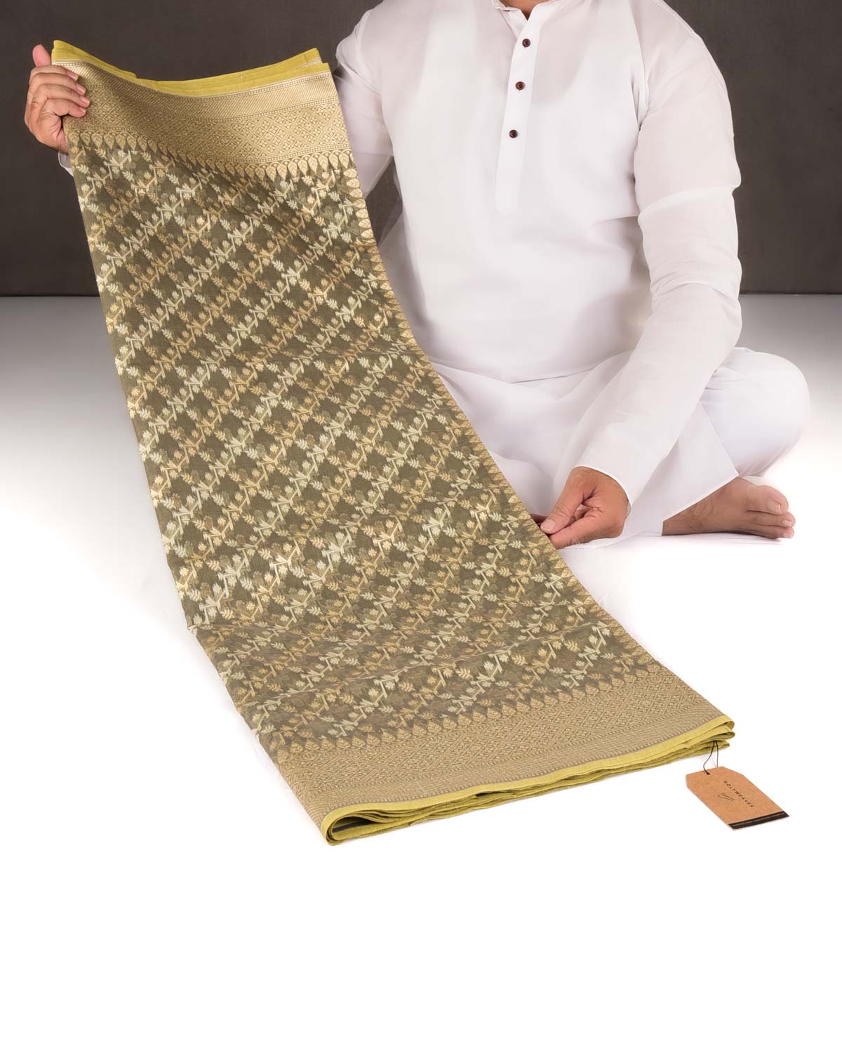 Gray Green Gold Zari & Resham Diagonal Bel Cutwork Brocade Woven Cotton Silk Banarasi Saree-HolyWeaves