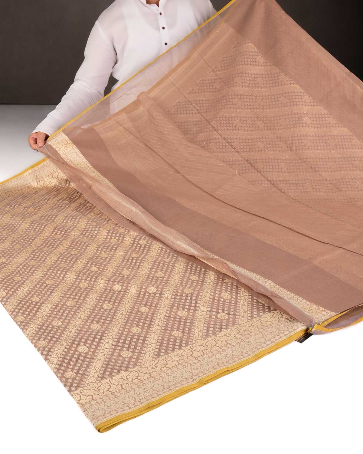 Brown Gold Zari & Resham Aada Jaal Cutwork Brocade Woven Cotton Silk Banarasi Saree