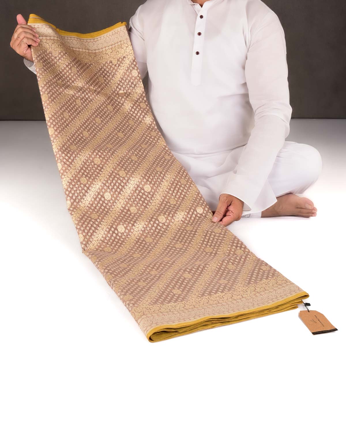Brown Gold Zari & Resham Aada Jaal Cutwork Brocade Woven Cotton Silk Banarasi Saree