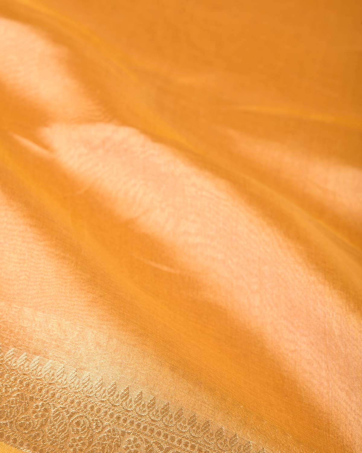 Metallic Trombone Yellow Brocade Woven Kora Tissue Banarasi Saree with Gold Brocade Border Pallu-HolyWeaves