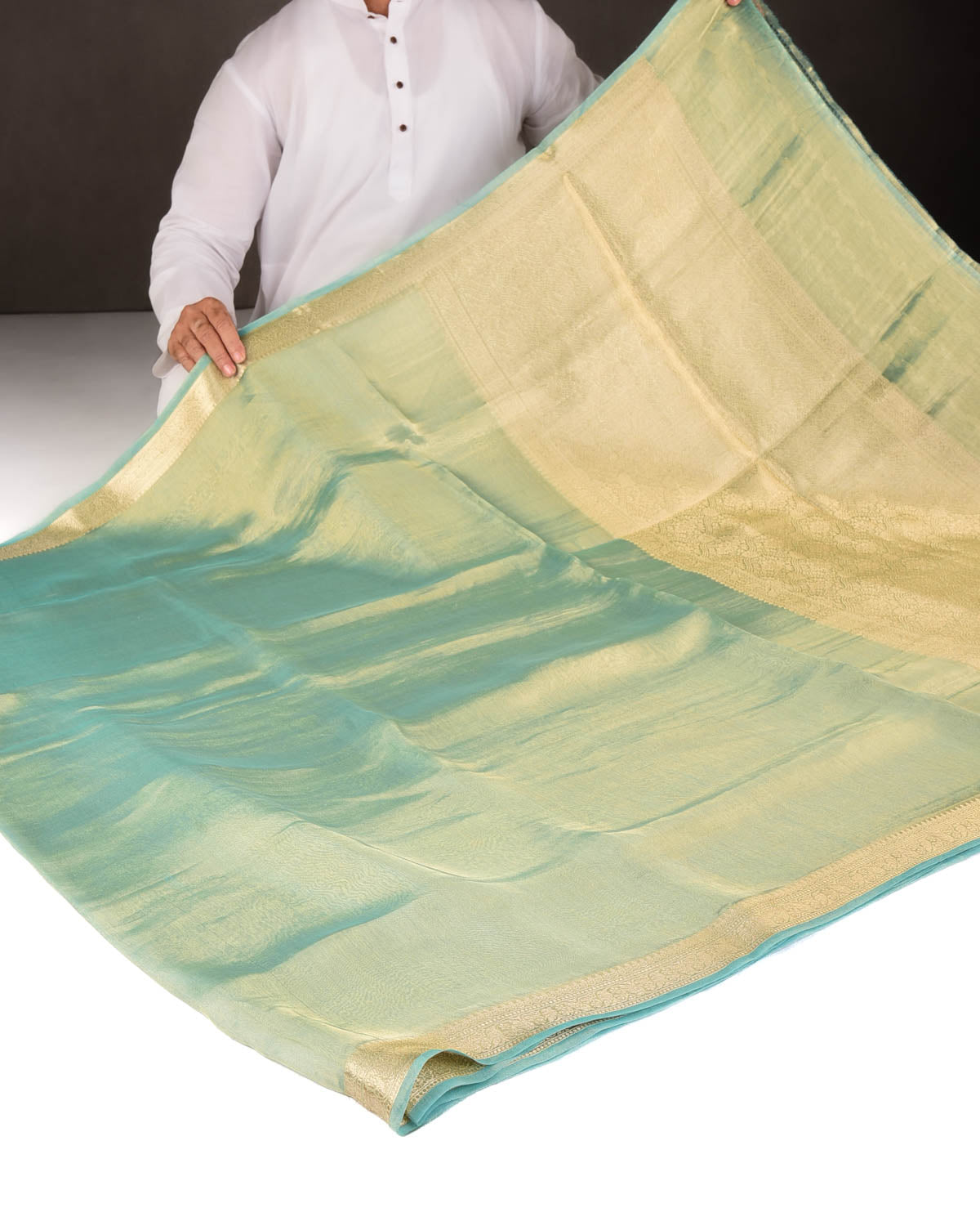 Metallic Aqua Marine Brocade Woven Kora Tissue Banarasi Saree with Gold Brocade Border Pallu-HolyWeaves