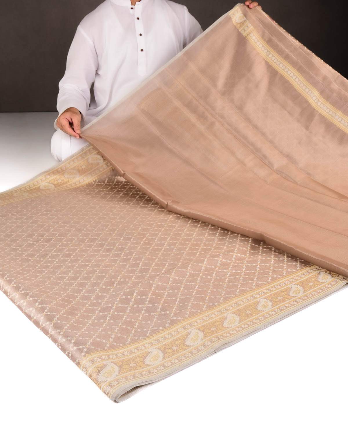 Metallic Brown Gold Zari And White Resham Jaal Cutwork Brocade Woven Art Cotton Tissue Banarasi Saree-HolyWeaves