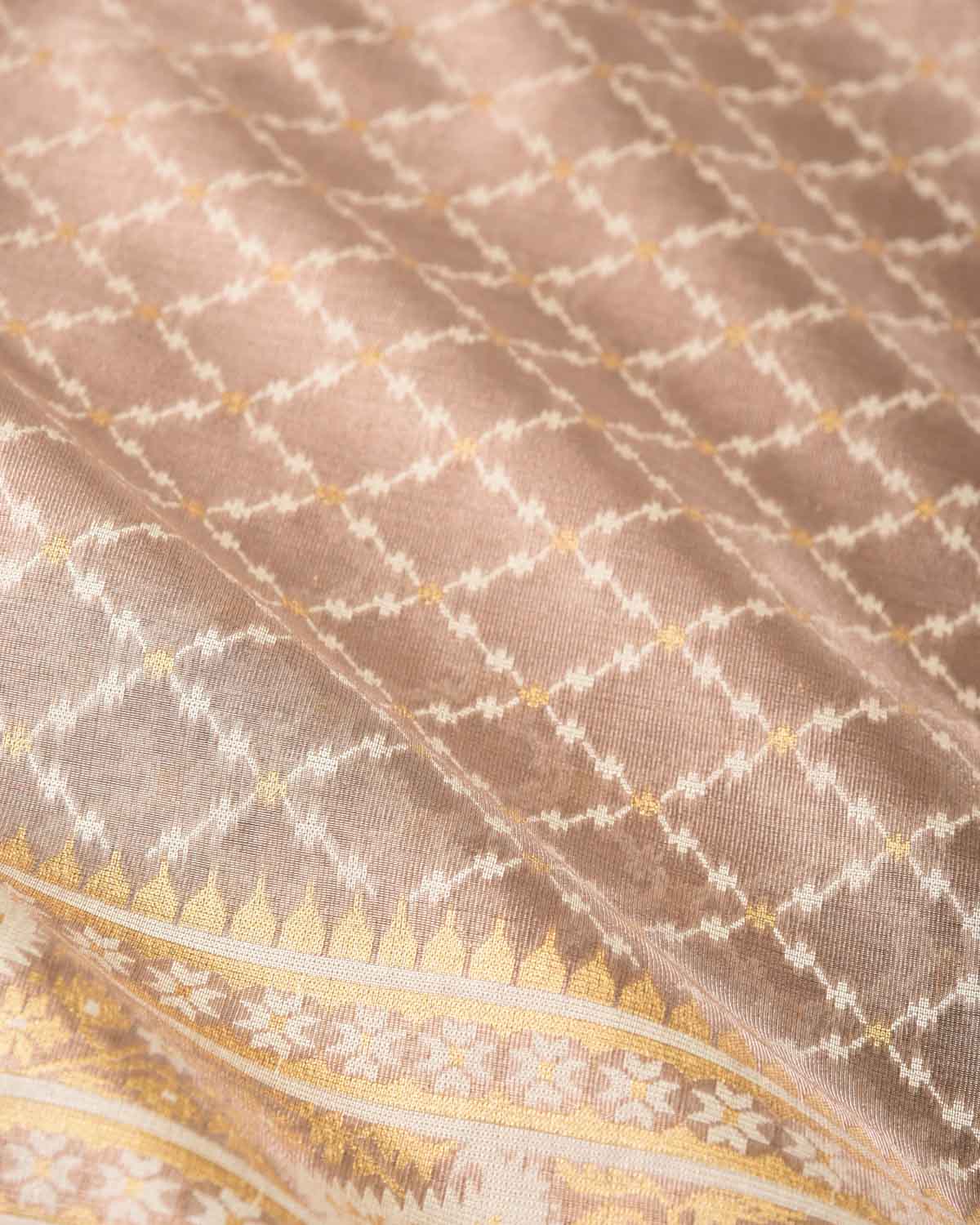 Metallic Brown Gold Zari And White Resham Jaal Cutwork Brocade Woven Art Cotton Tissue Banarasi Saree-HolyWeaves