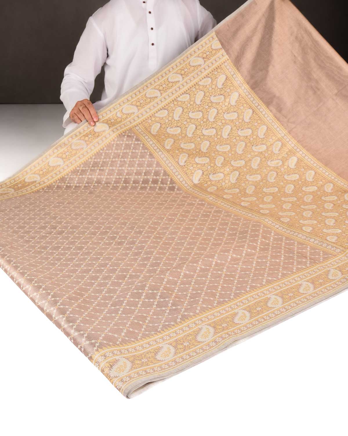Metallic Brown Gold Zari And White Resham Jaal Cutwork Brocade Woven Art Cotton Tissue Banarasi Saree-HolyWeaves
