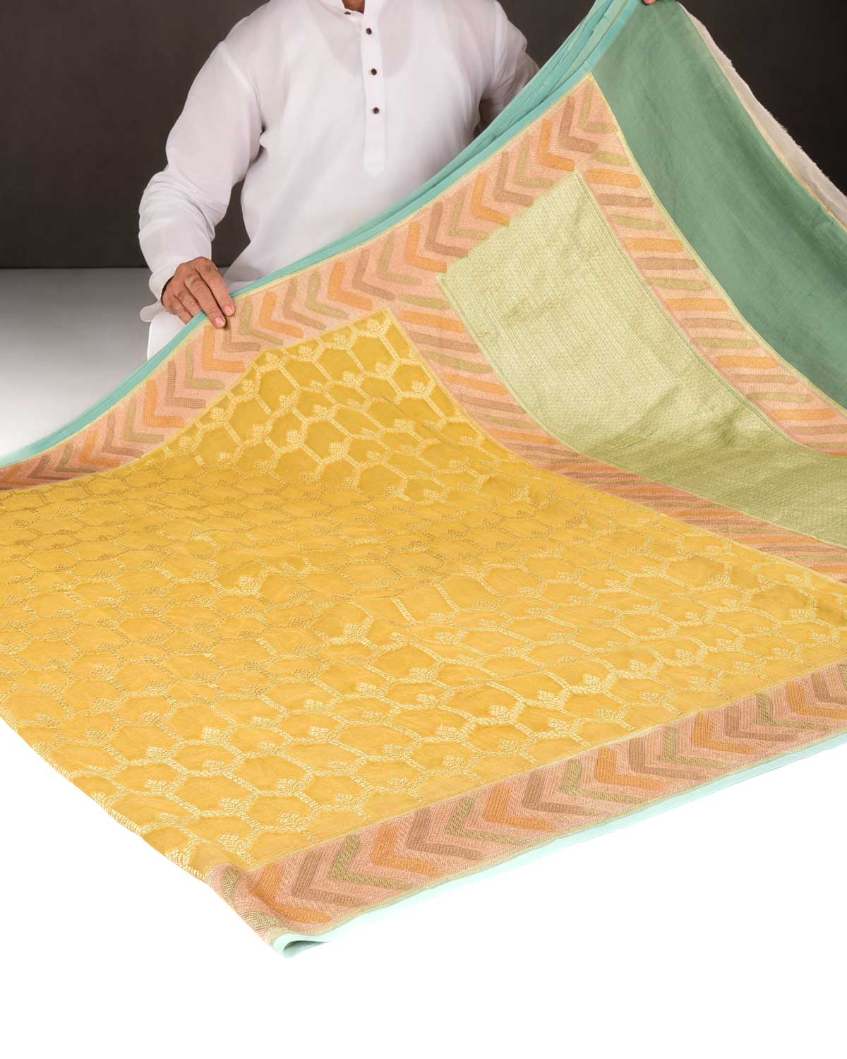 Yellow Gold Zari Jangla Hand Brush Dye Border Cutwork Brocade Woven Georgette Tissue Banarasi Saree-HolyWeaves