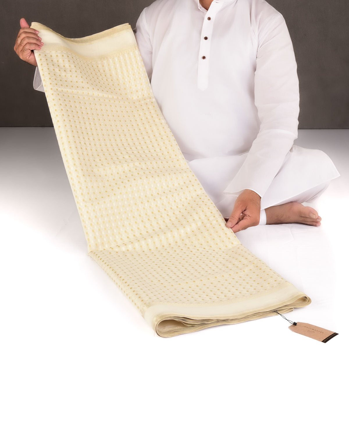 Gold On Cream Mini Polka Dots Cutwork Brocade Woven Art Cotton Silk Banarasi Saree