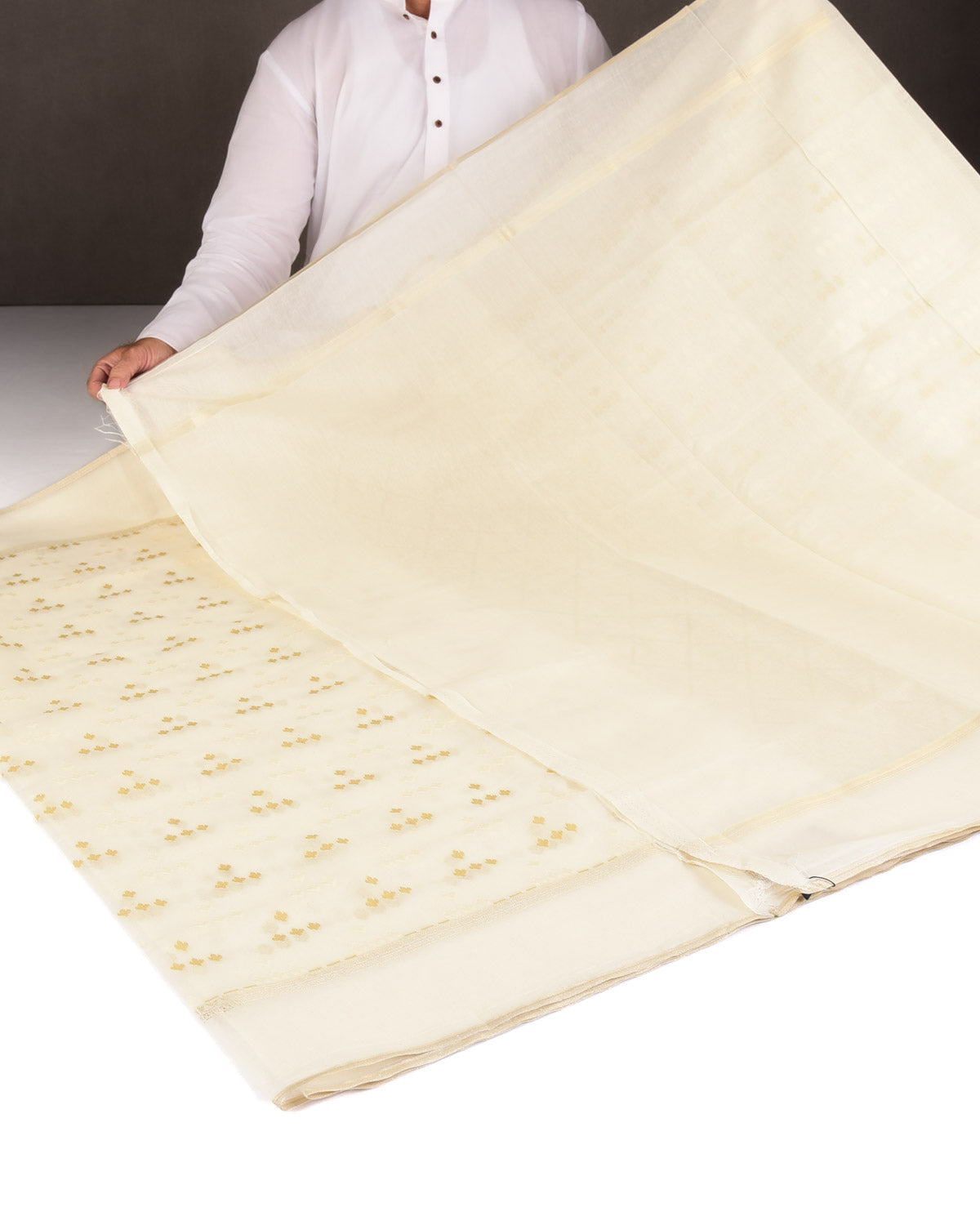 Beige On Cream Resham Leaf Scatter Buti Cutwork Brocade Woven Art Cotton Silk Banarasi Saree