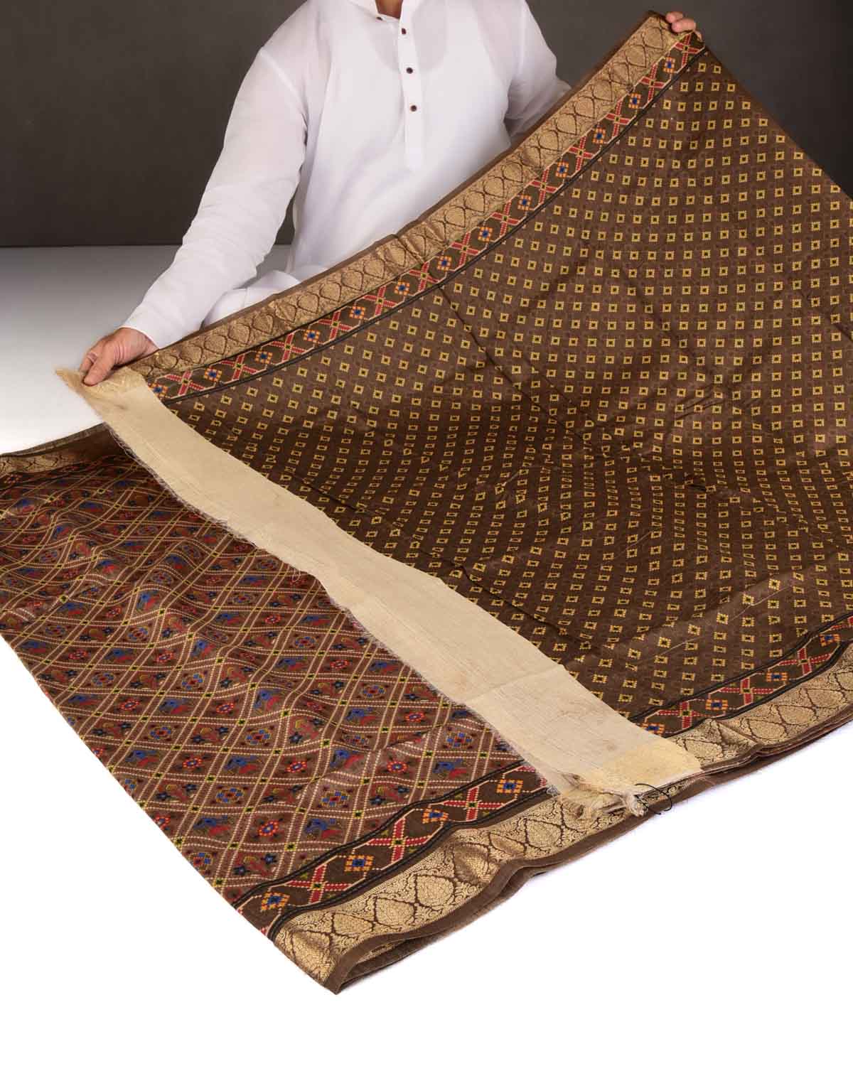 Brown Patola Grids Printed Muga Silk Saree with Brocade Border