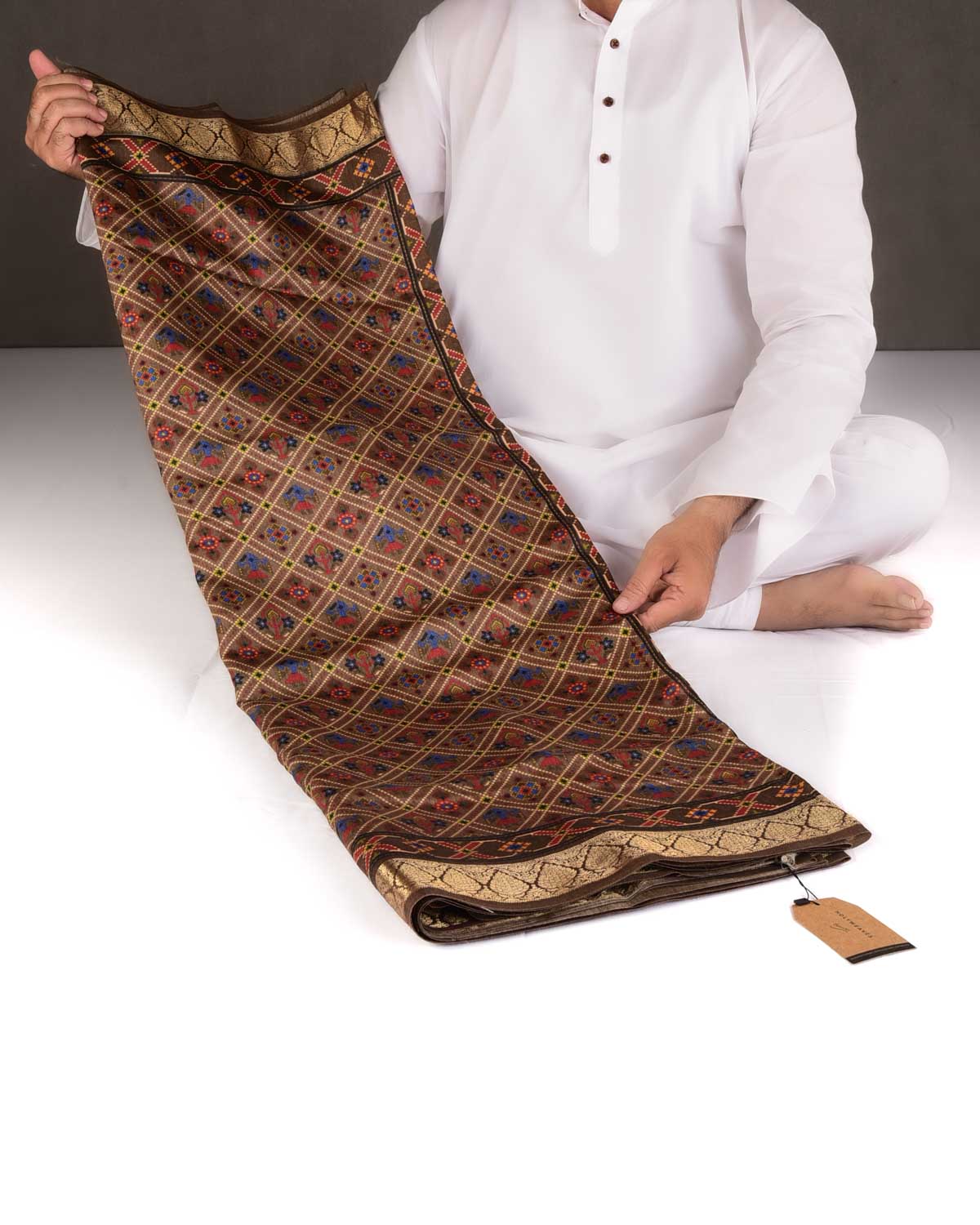 Brown Patola Grids Printed Muga Silk Saree with Brocade Border