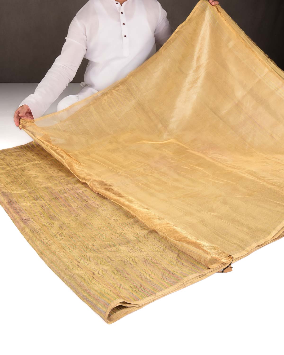 Metallic Gold Oceanic Pisces Brocade Handwoven Kora Tissue Banarasi Saree-HolyWeaves