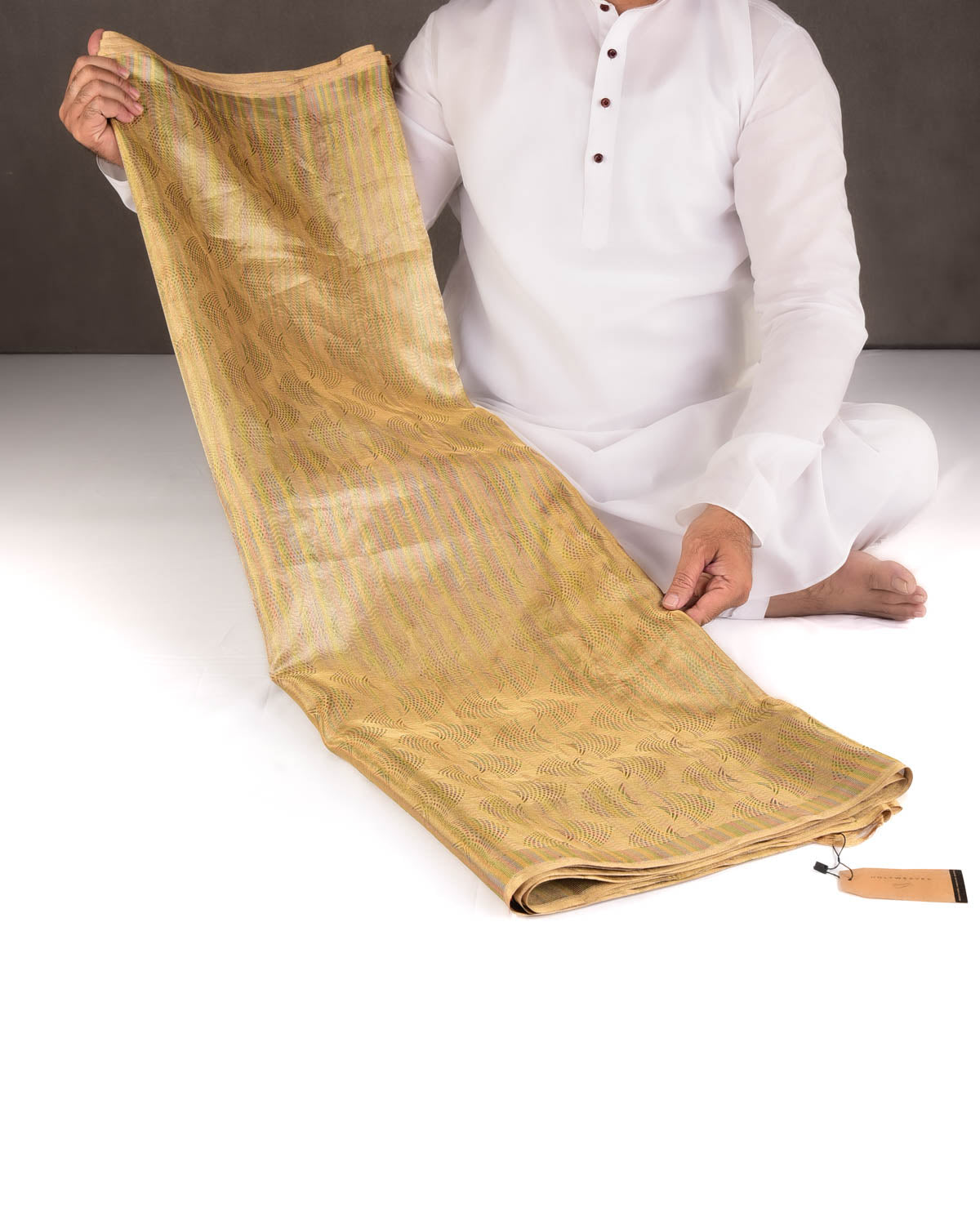 Metallic Gold Oceanic Pisces Brocade Handwoven Kora Tissue Banarasi Saree-HolyWeaves