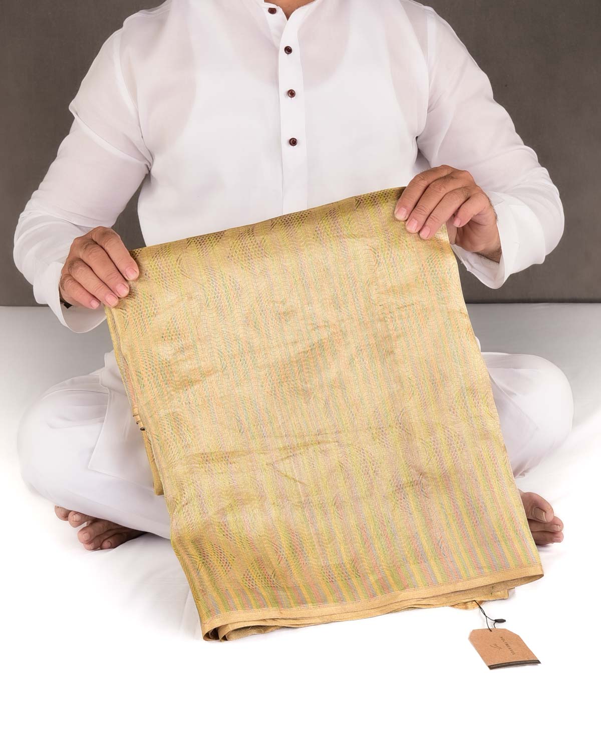 Metallic Gold Oceanic Pisces Brocade Handwoven Kora Tissue Banarasi Saree-HolyWeaves