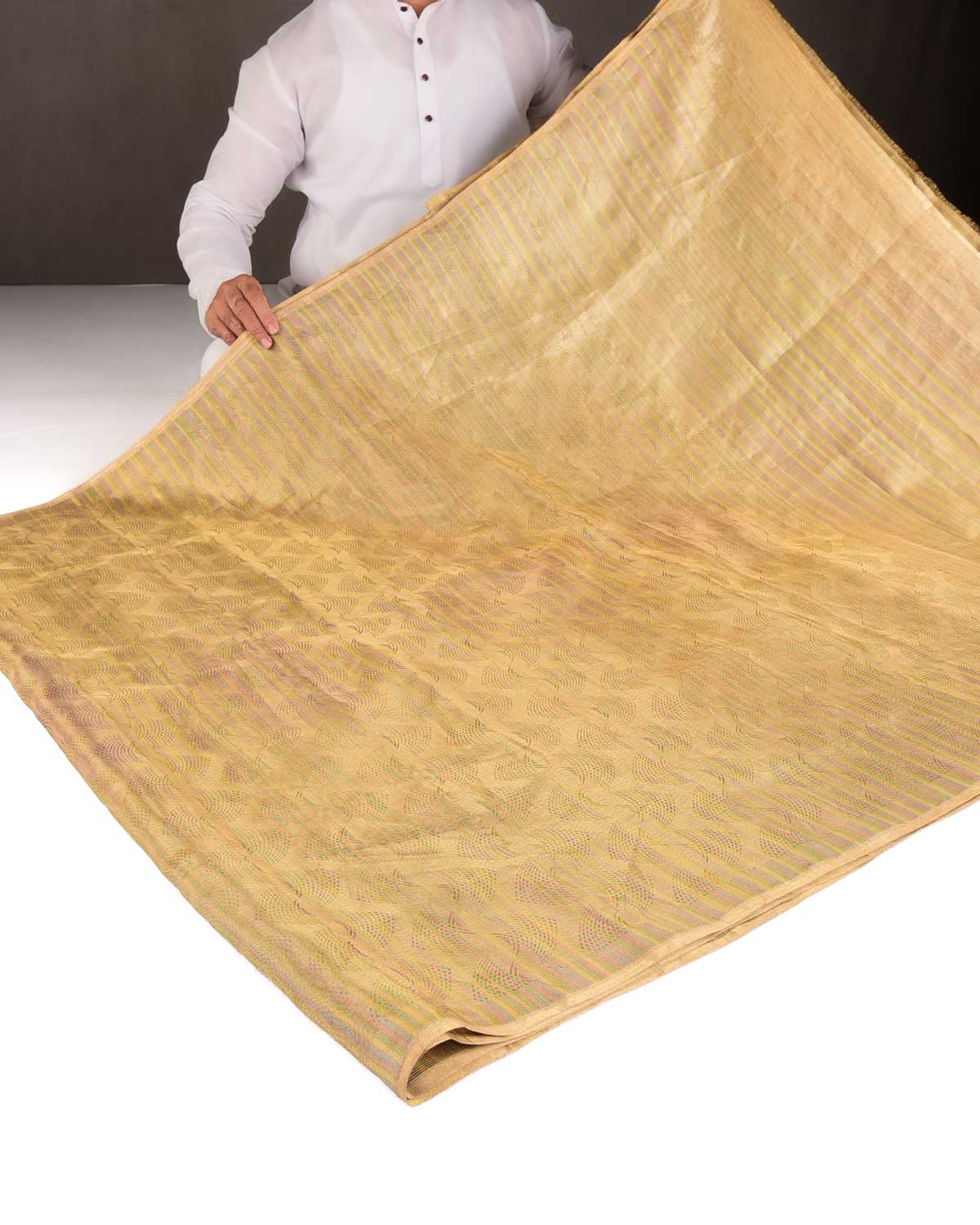 Metallic Gold Oceanic Pisces Brocade Handwoven Kora Tissue Banarasi Saree-HolyWeaves